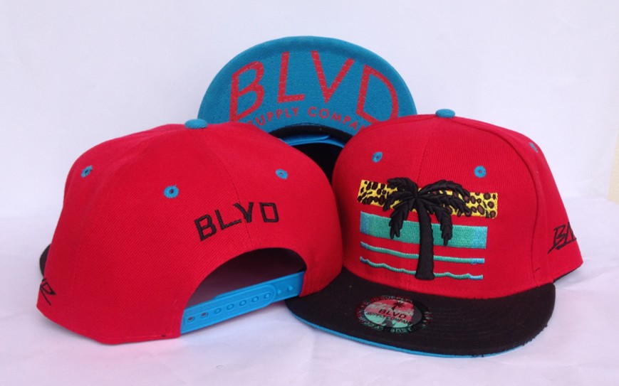 Blvd Supply Snapback Hat #08